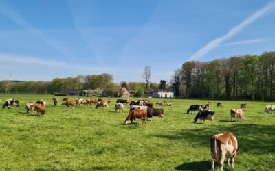 Wandeling buitenplaatsen