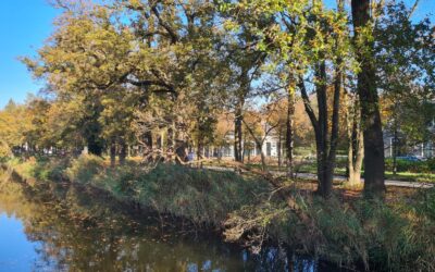 Rondleiding Veilinghuis de Eland op Schaap en Burgh voor “de buren”